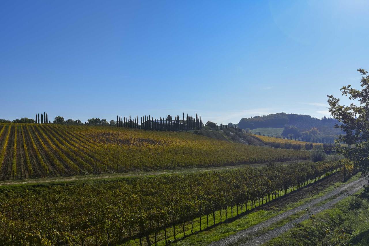 Agriturismo Le Gallozzole Monteriggioni Kültér fotó